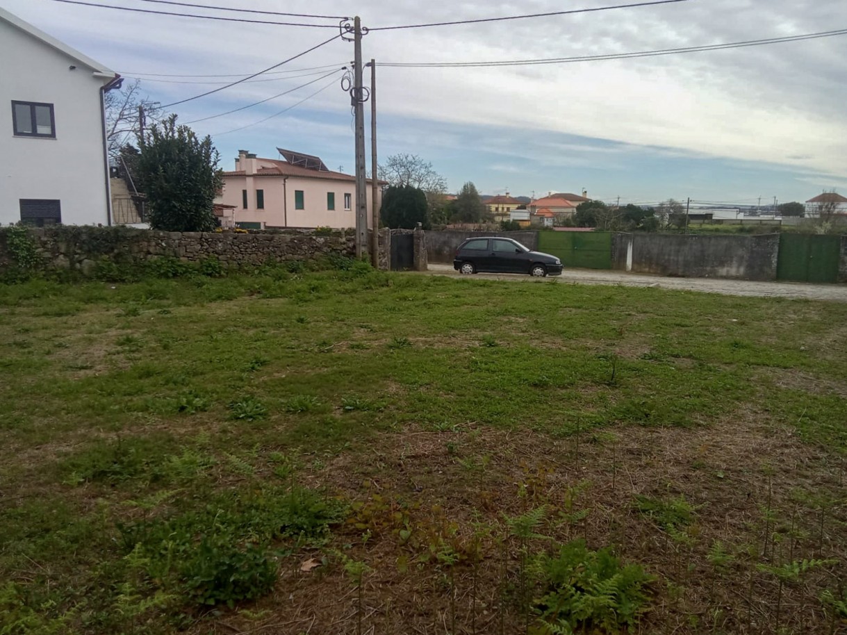 4-whatsapp-image-2026-03-17-at-14jpg