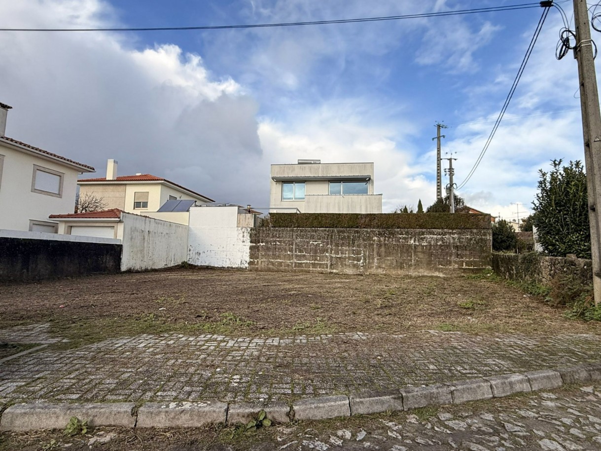 1-whatsapp-image-2026-03-17-at-14jpg