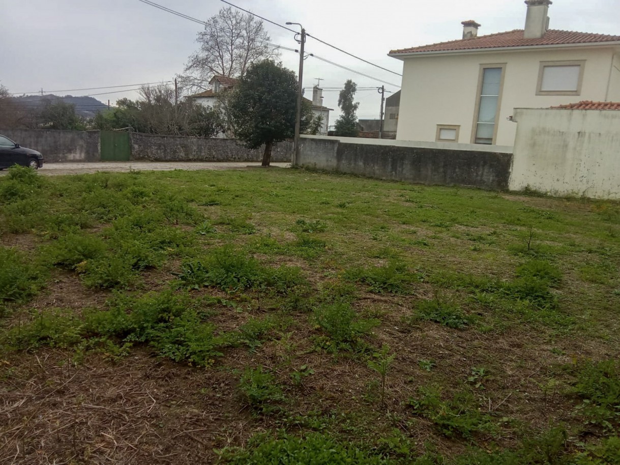 7-whatsapp-image-2026-03-17-at-14jpg