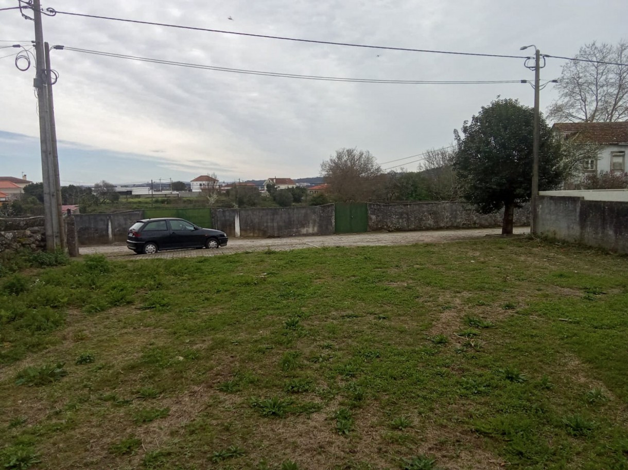 10-whatsapp-image-2026-03-17-at-14jpg