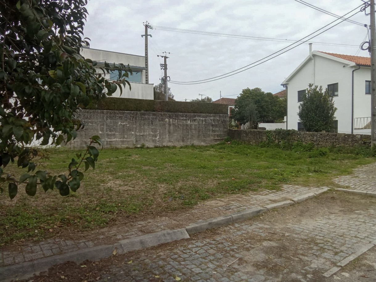 6-whatsapp-image-2026-03-17-at-14jpg