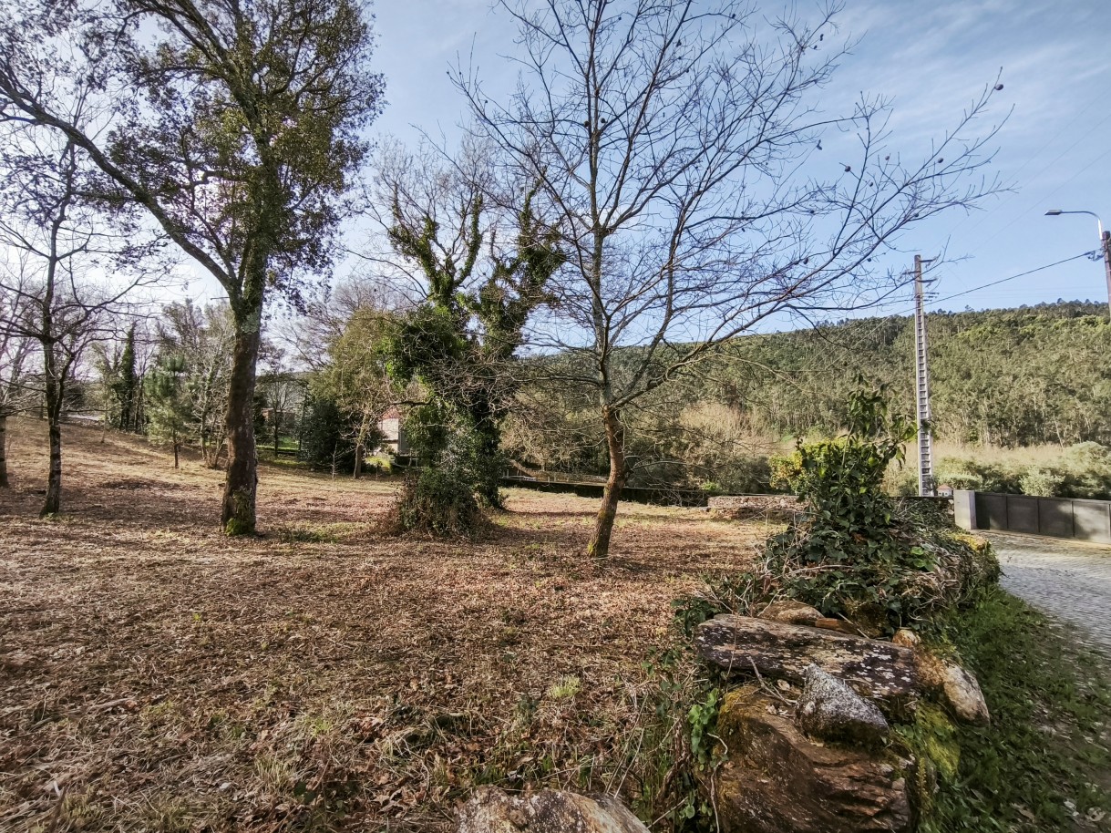 7-img-20260306-090503jpg