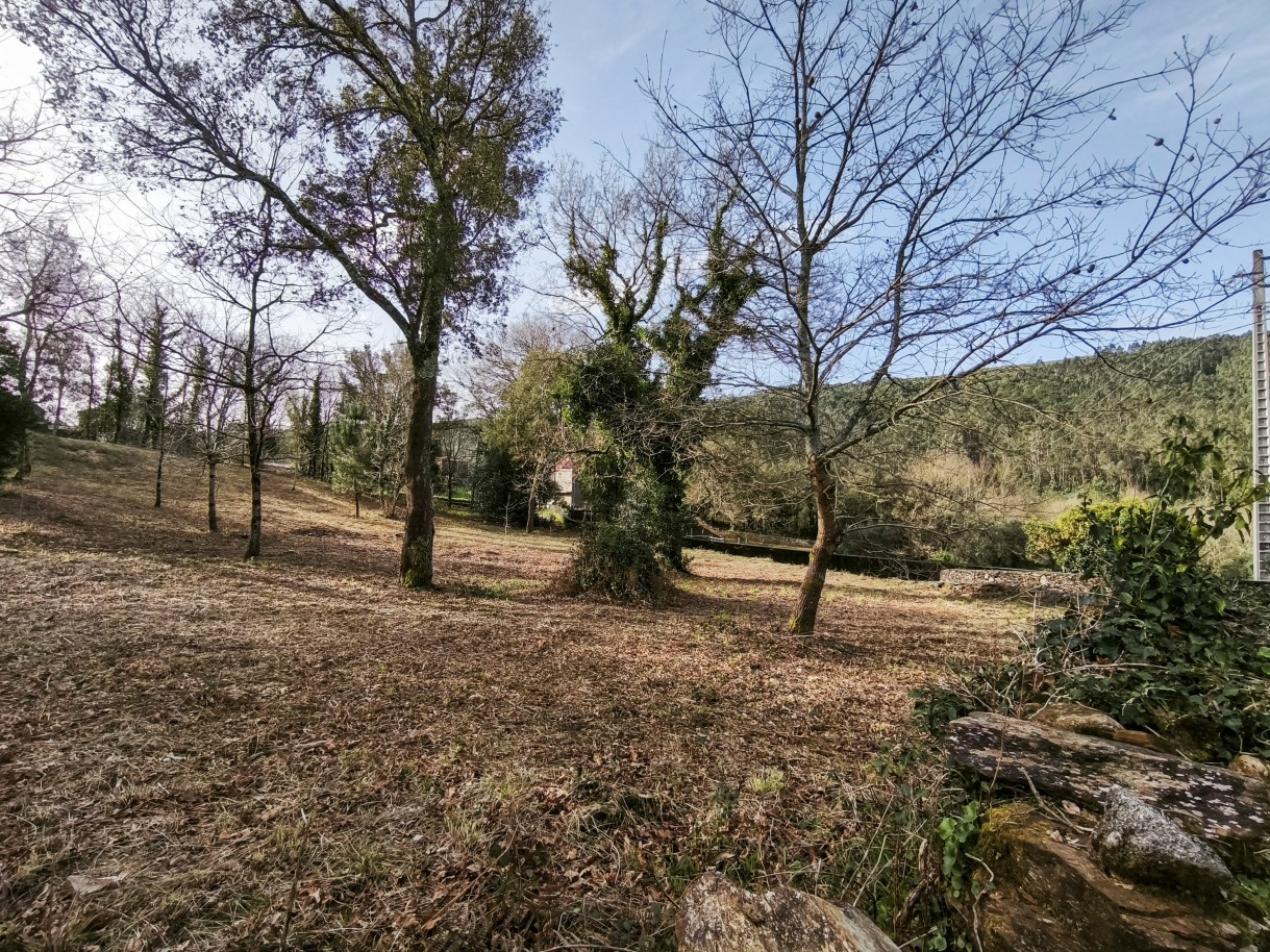 9-img-20260306-090500jpg