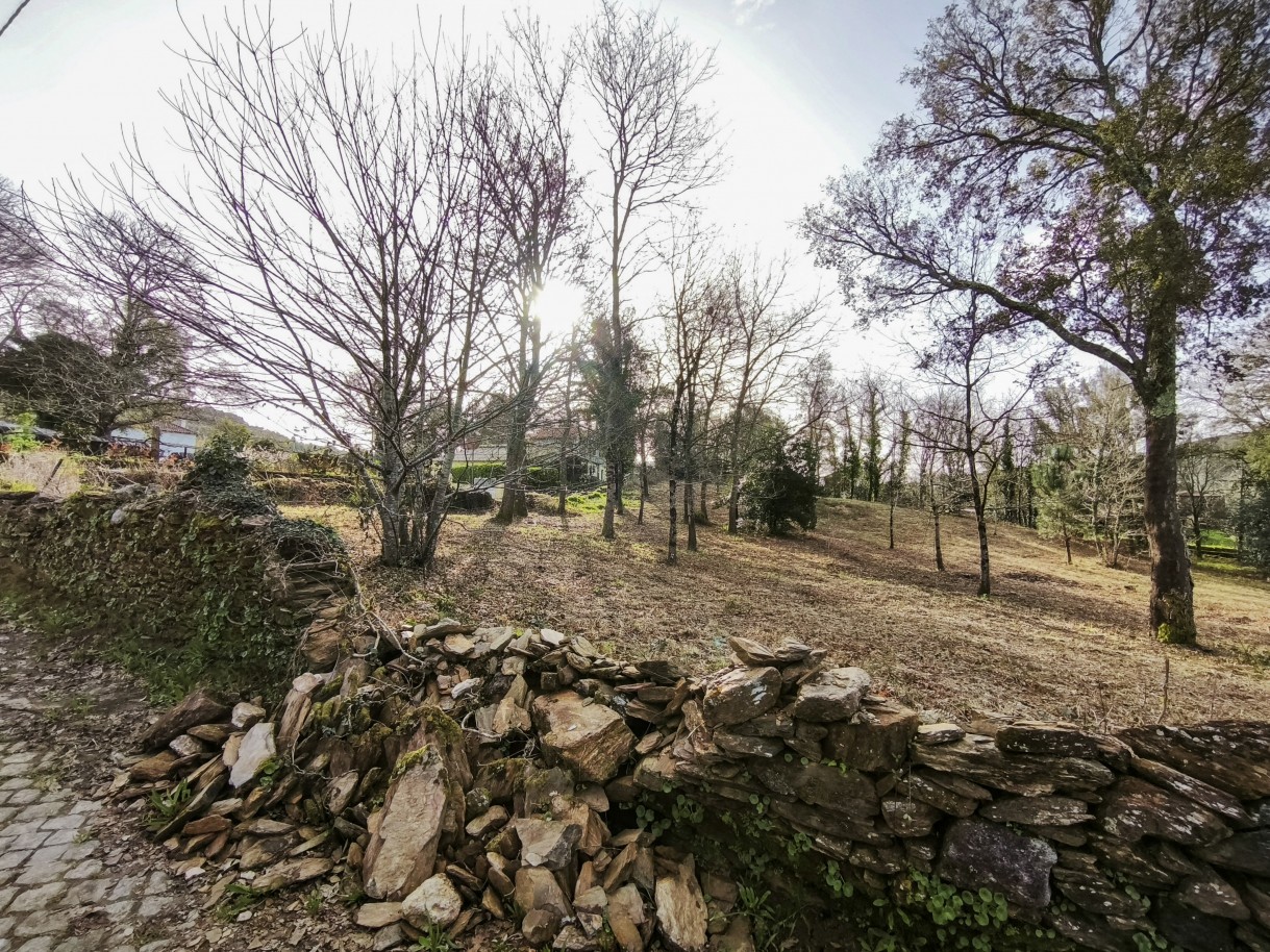 13-img-20260306-090451jpg