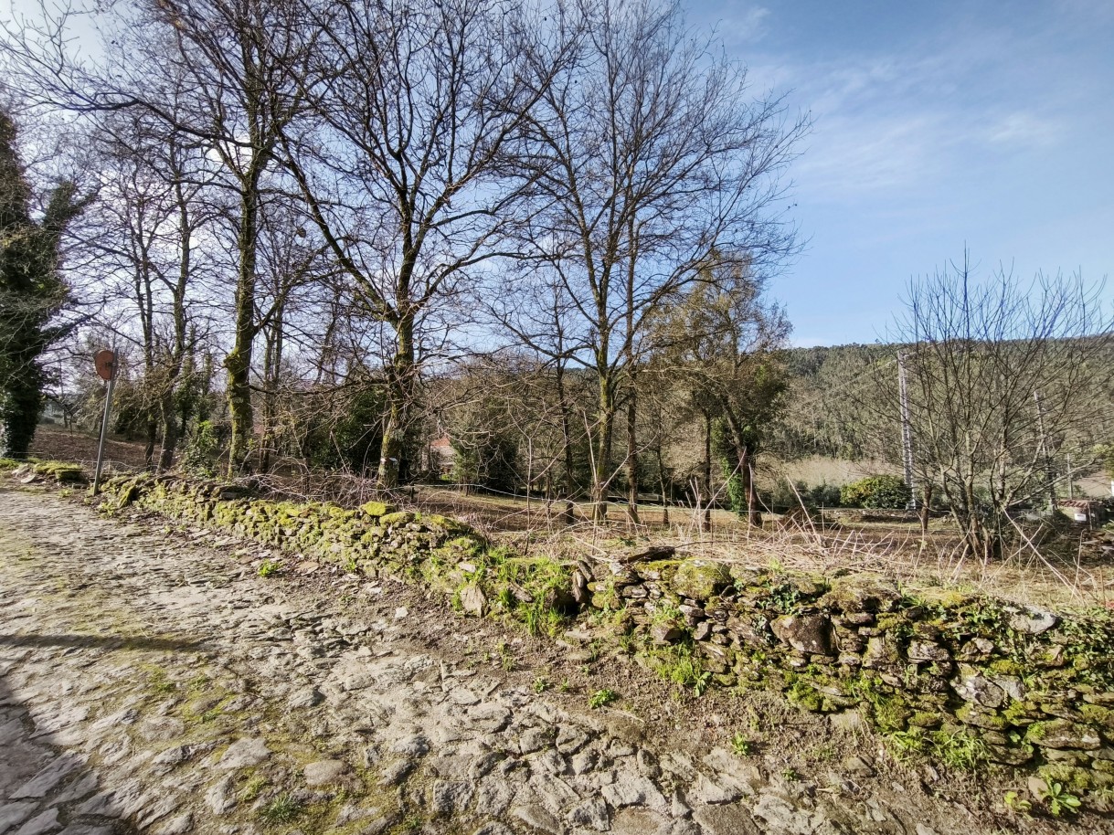 16-img-20260306-090420jpg