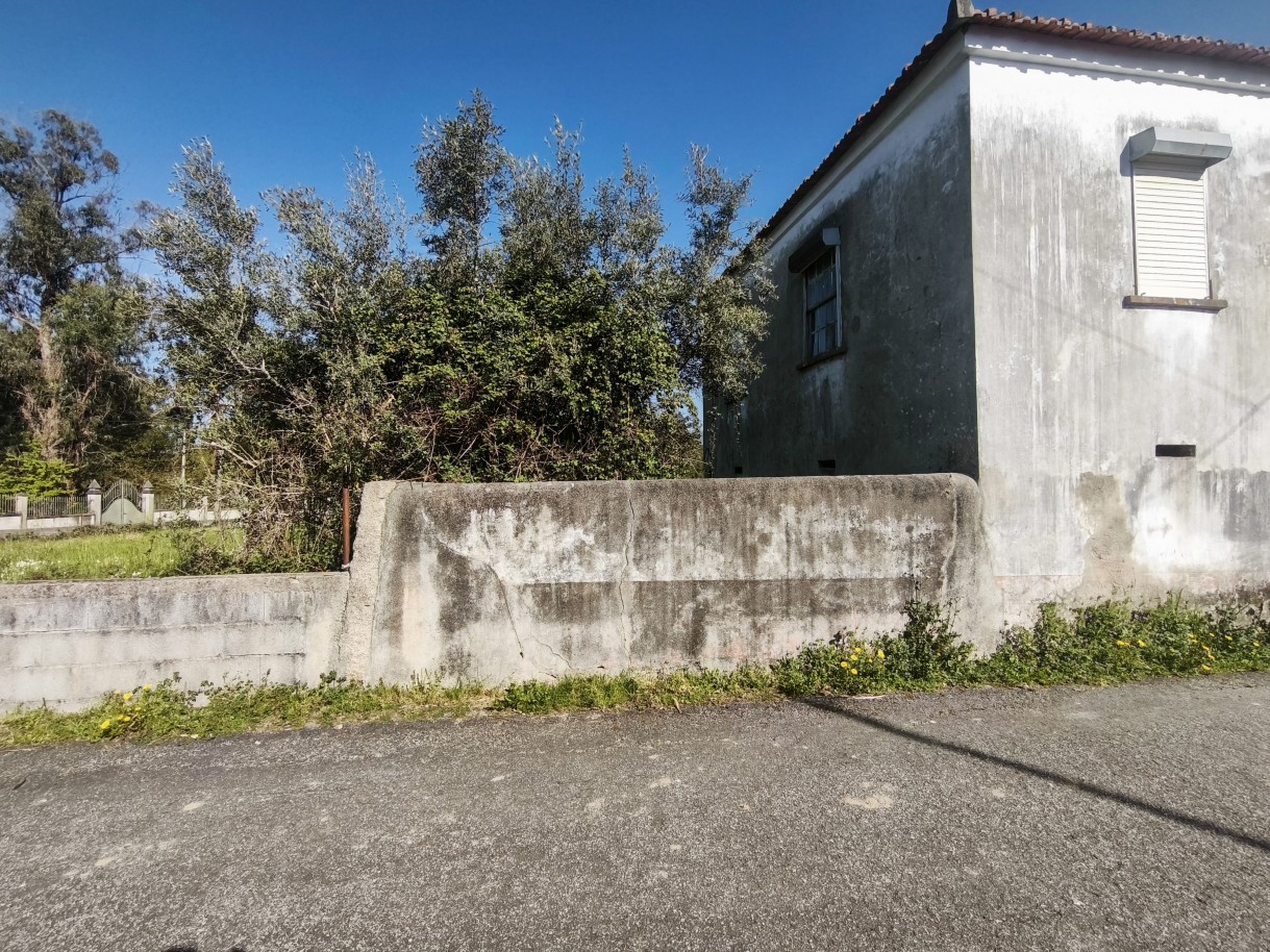 1-img-20260323-094759jpg