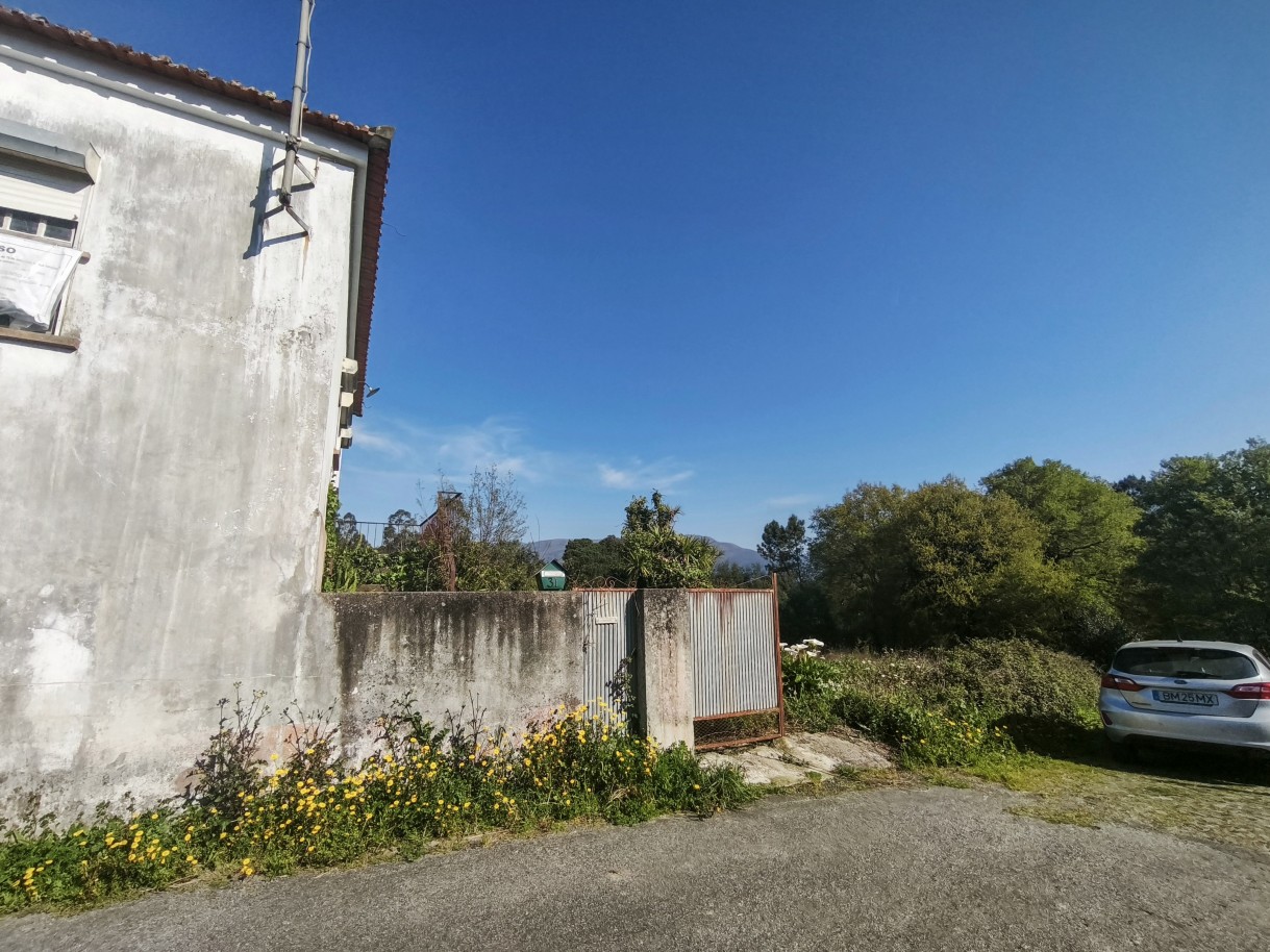 3-img-20260323-094740jpg