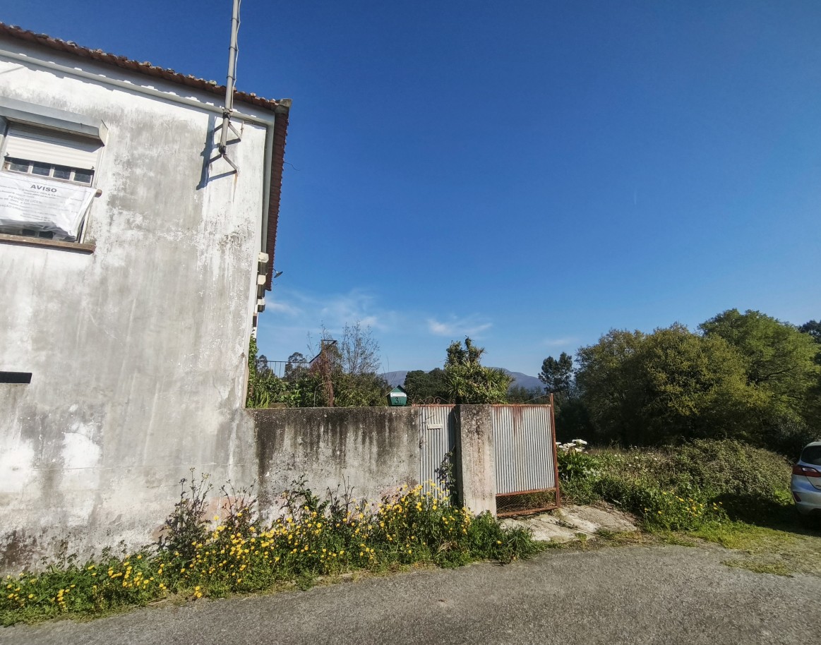 2-img-20260323-094740-1jpg