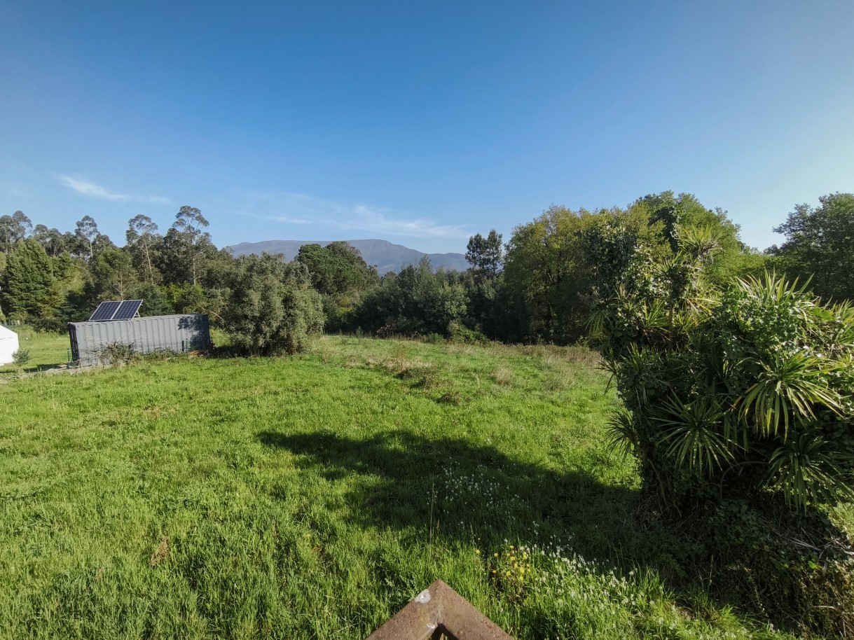 5-img-20260323-093220jpg