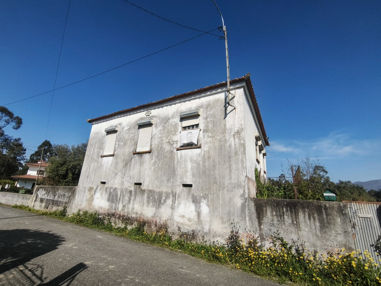 4-img-20260323-094736jpg