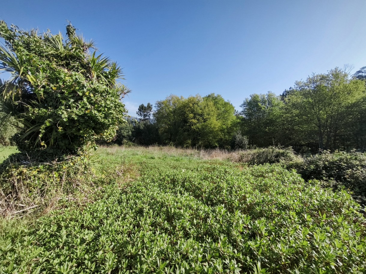 9-img-20260323-092839jpg