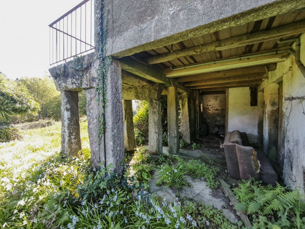 10-img-20260323-092824jpg