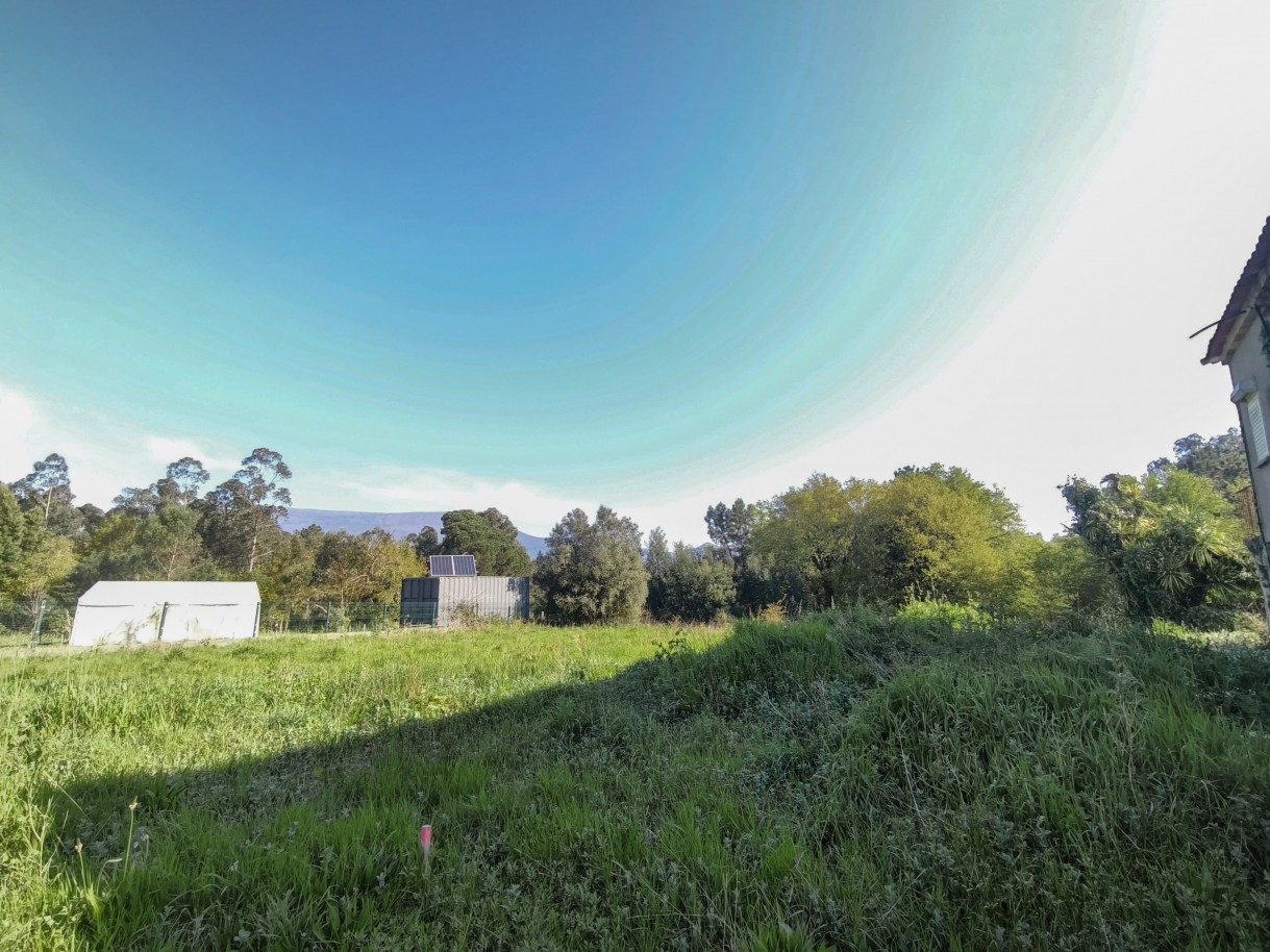 11-img-20260323-092759jpg