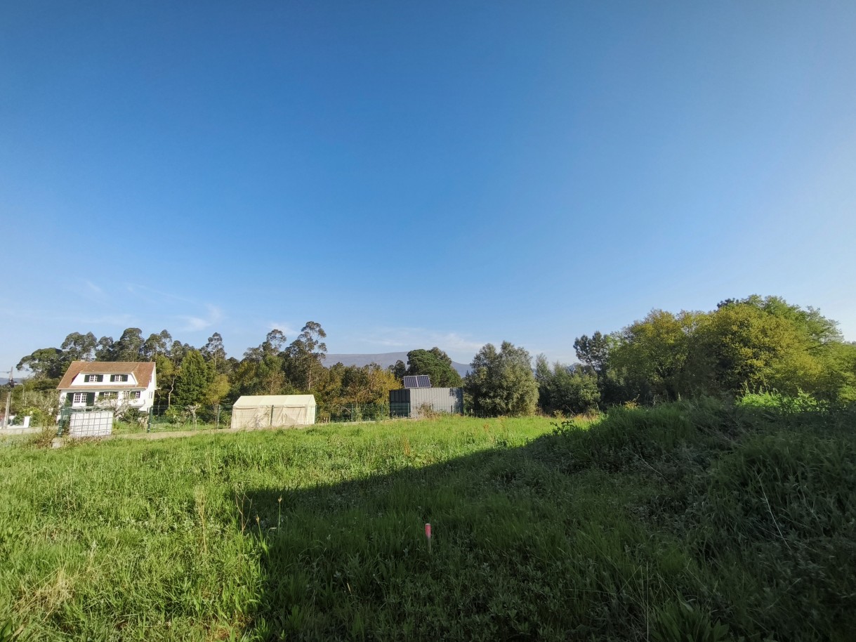 12-img-20260323-092721jpg