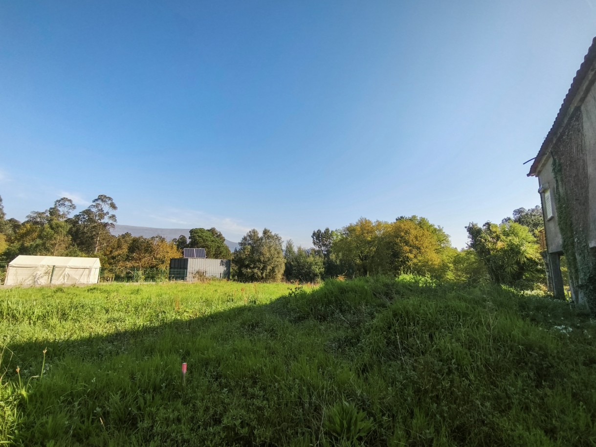 13-img-20260323-092719jpg