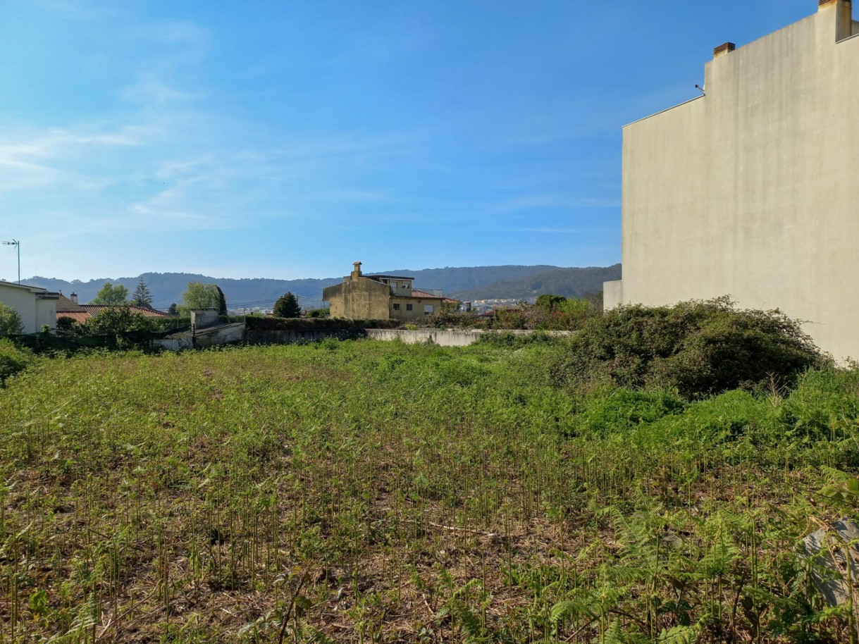 1-e5052135-ac2b-4510-99cb-8d0cc1ecc06fjpg