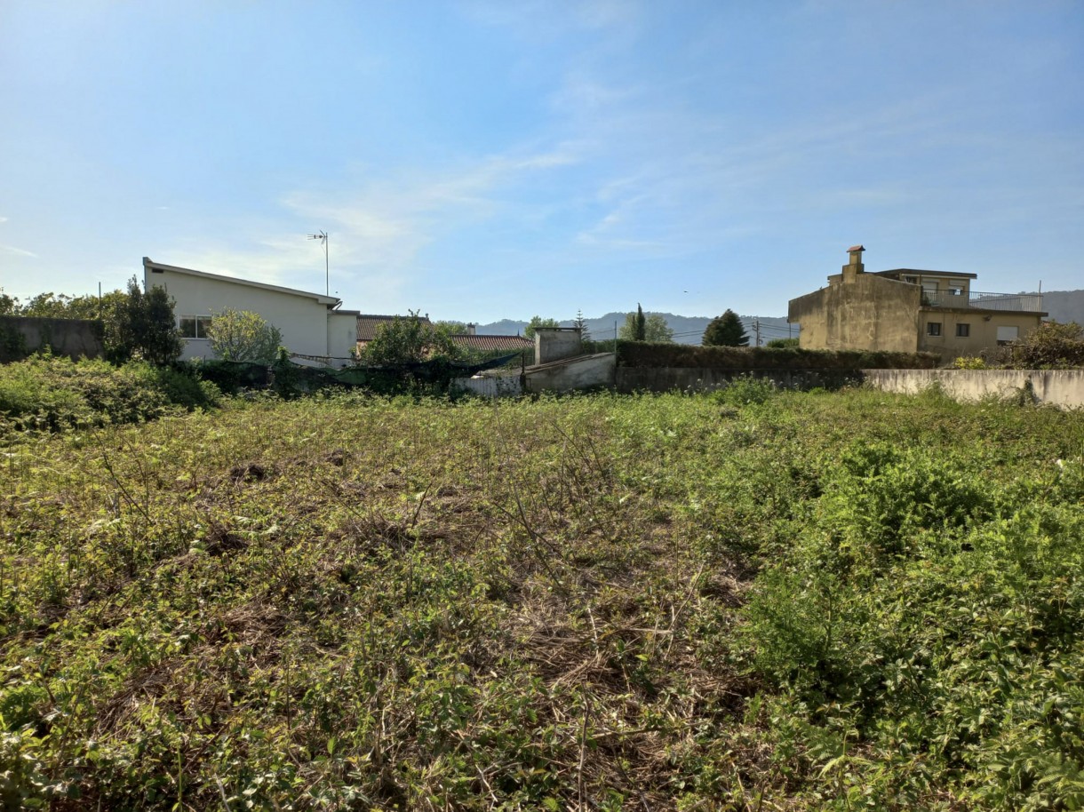 2-dcdfde5c-e524-4ccd-984d-a769bebb297cjpg