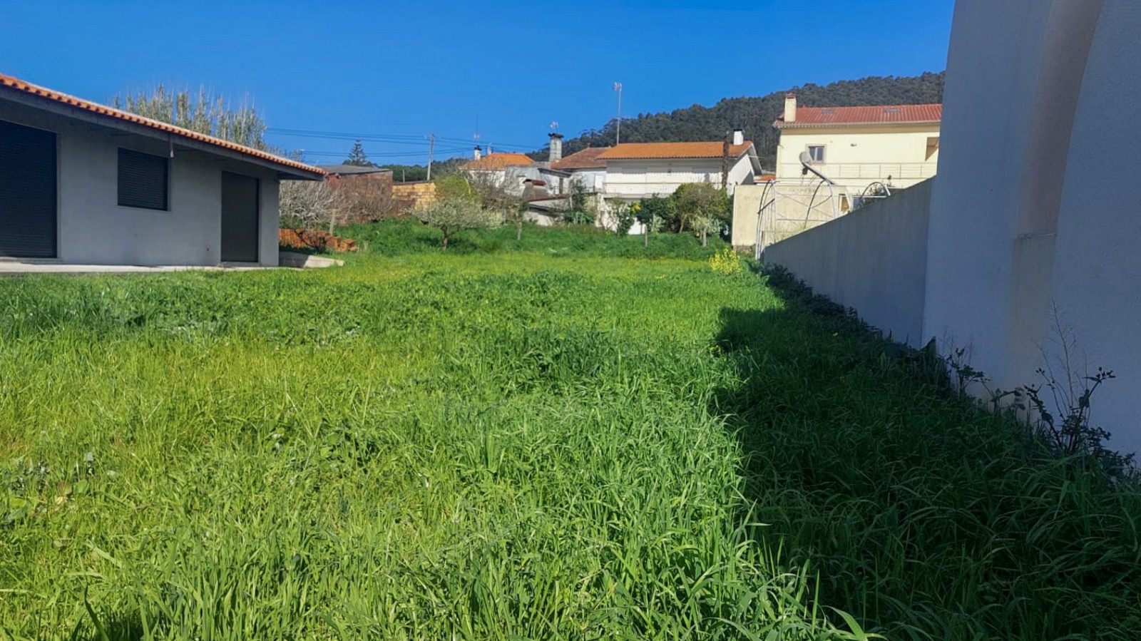 2-cceac401-7792-42cf-bda5-76833144ca33jpg