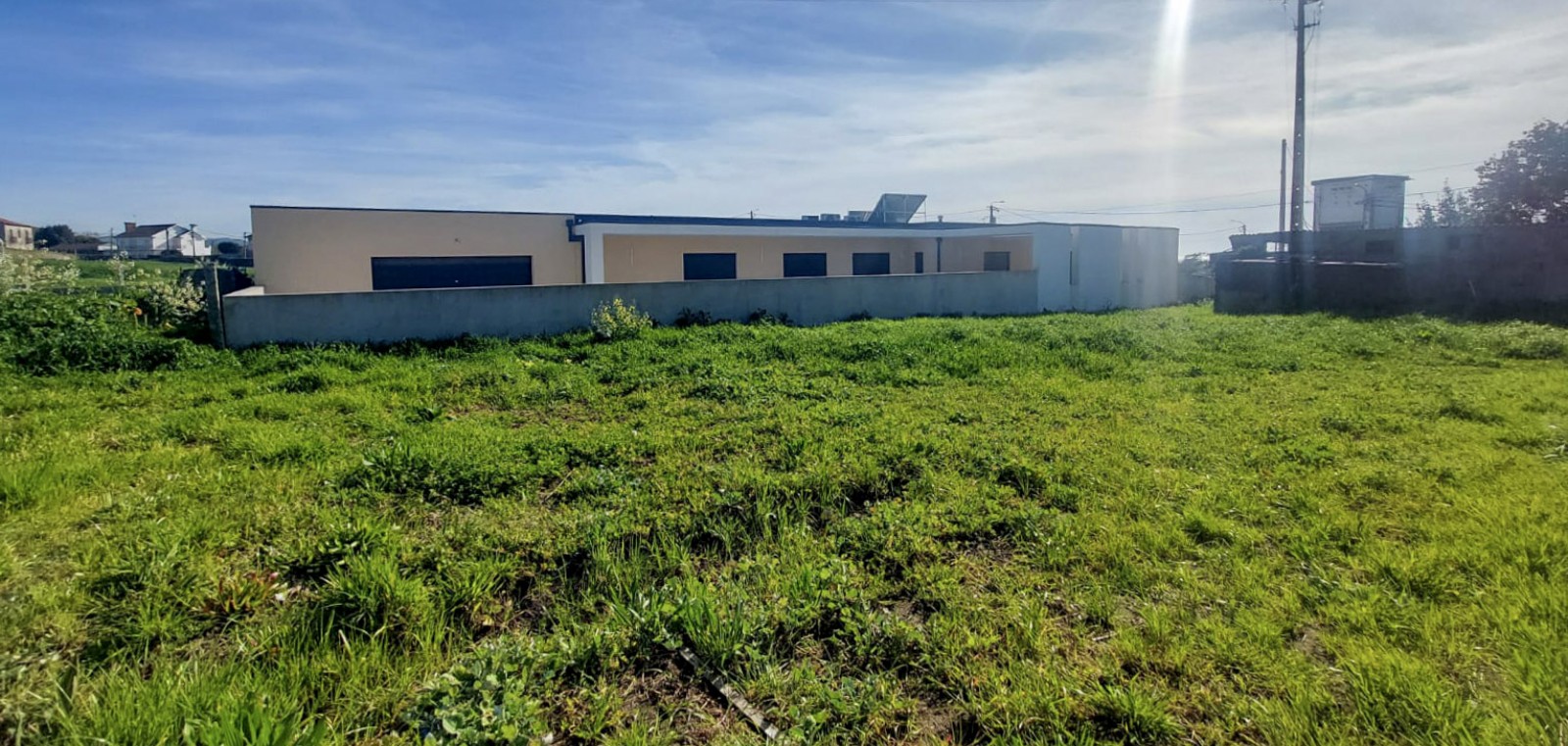 4-cc8001a7-0449-4f65-b408-1d1657ca7d98jpg