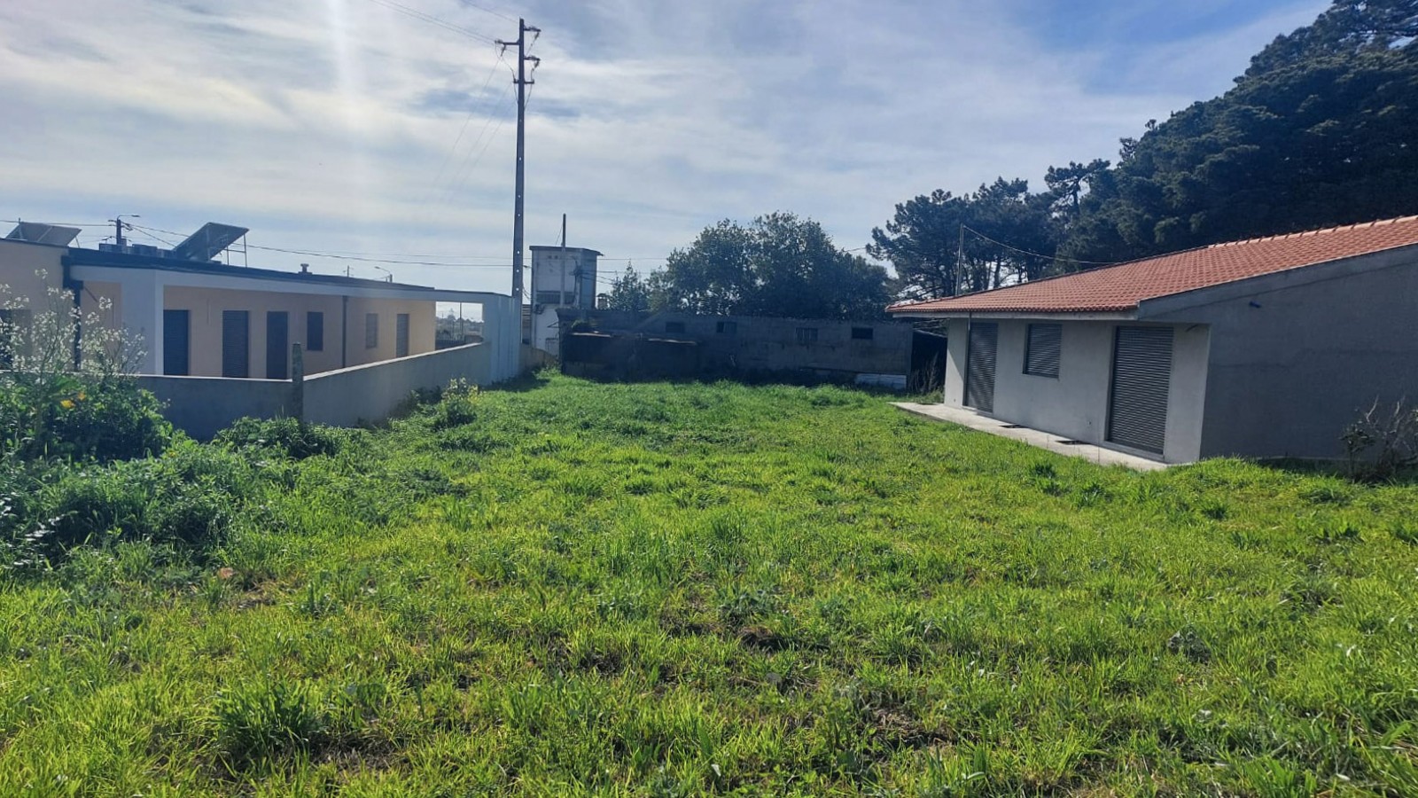 5-a0849903-25b9-43d5-968d-ff08936b1d0bjpg