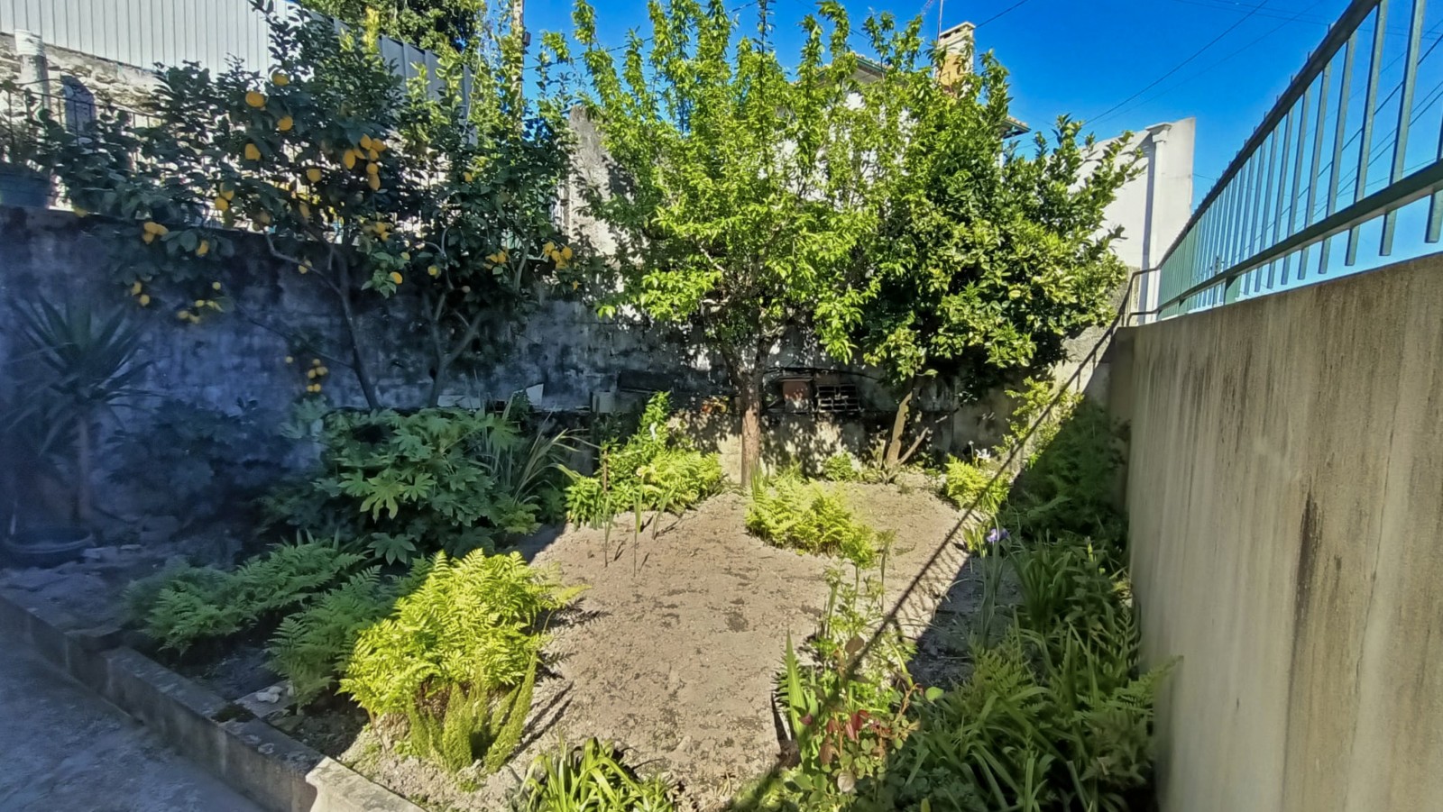 21-394e4a3b-f78e-48e1-bb70-c746802ab7bejpg