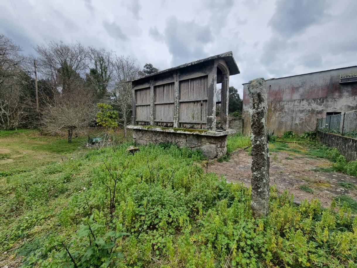 whatsapp-image-2026-04-07-at-165626-1jpeg