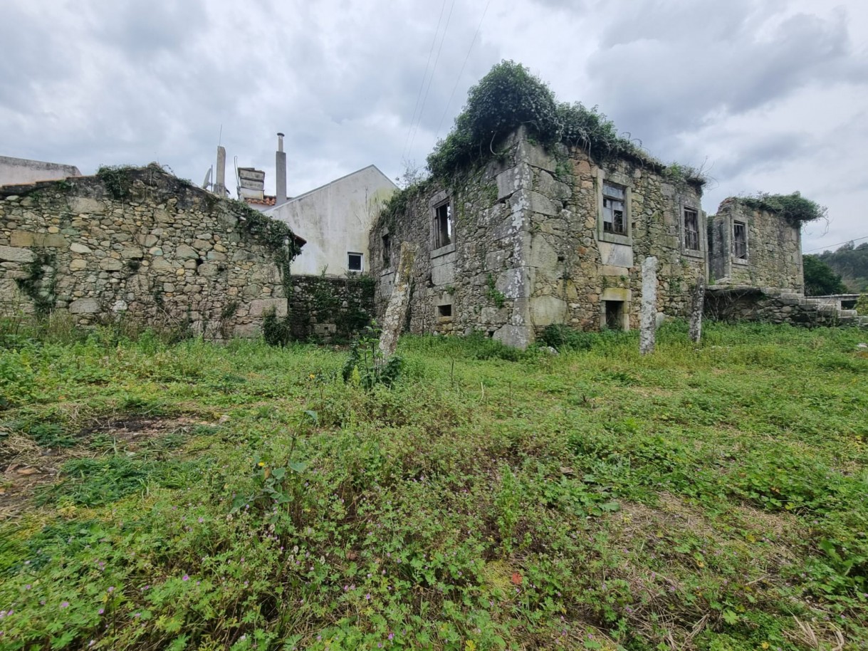 whatsapp-image-2026-04-07-at-165627-1jpeg