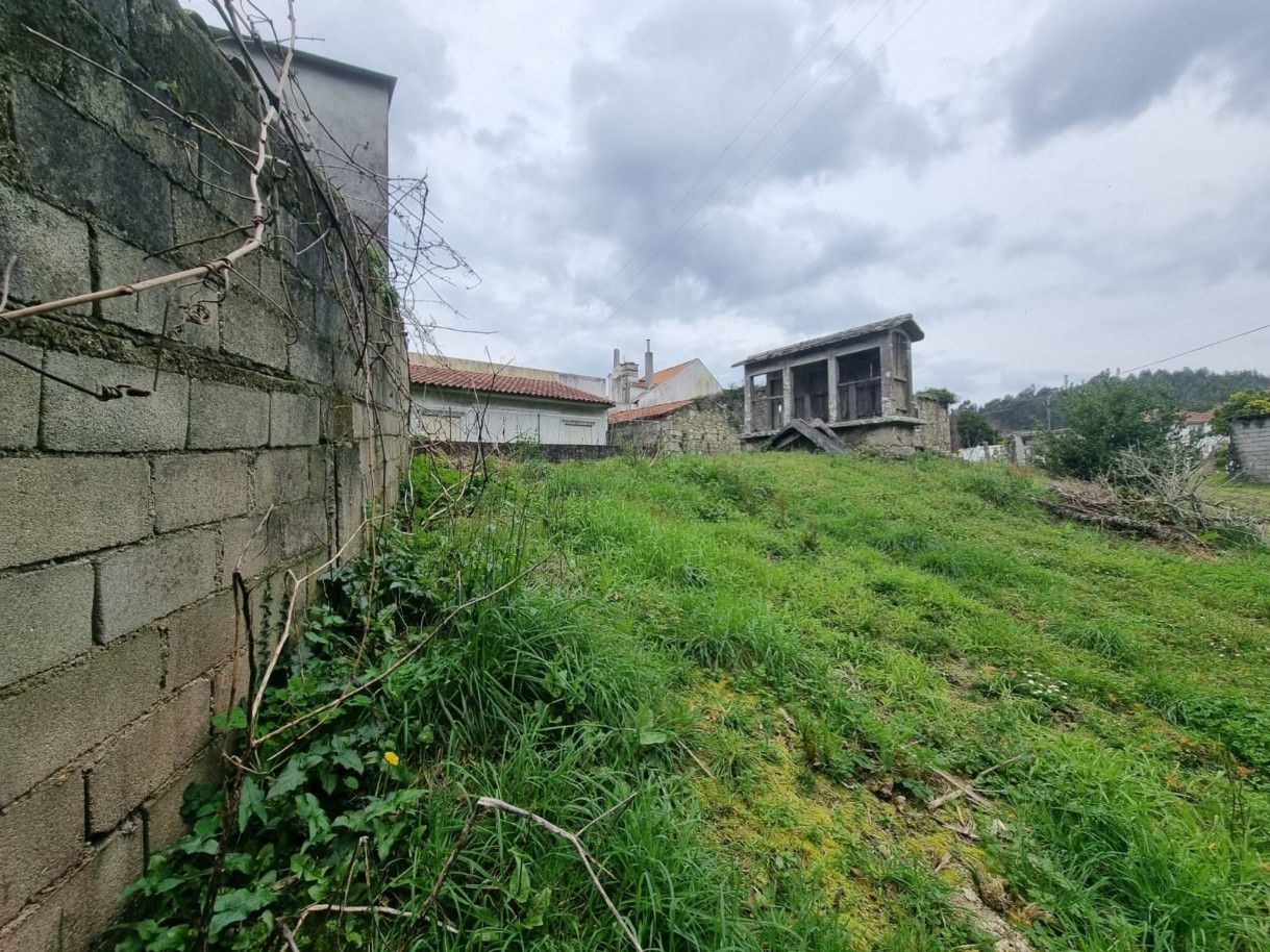 whatsapp-image-2026-04-07-at-165626jpeg