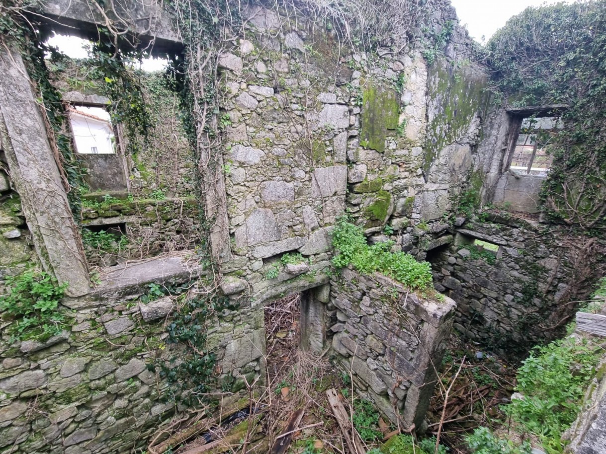 whatsapp-image-2026-04-07-at-165627-2jpeg