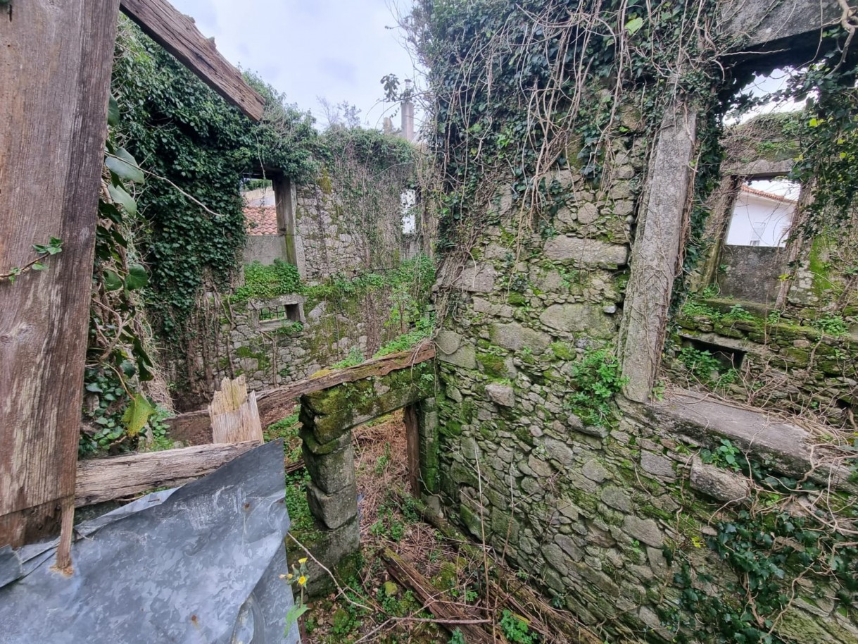 whatsapp-image-2026-04-07-at-165627-3jpeg