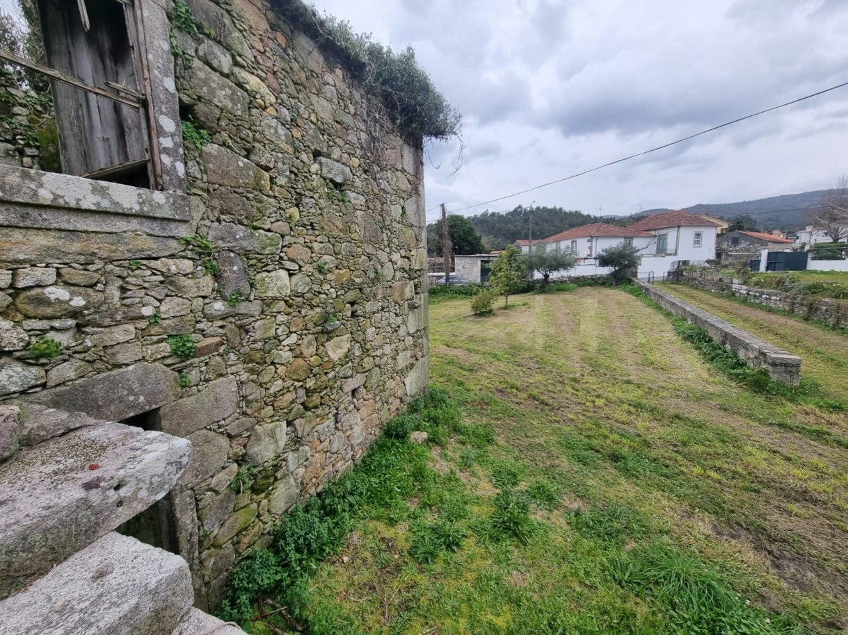 whatsapp-image-2026-04-07-at-165627-5jpeg