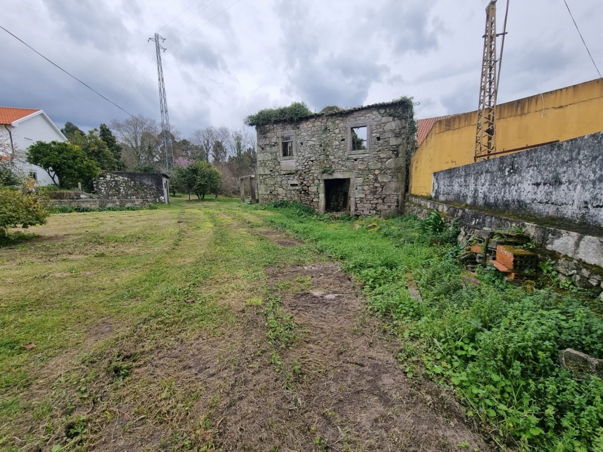 whatsapp-image-2026-04-07-at-165627-7jpeg