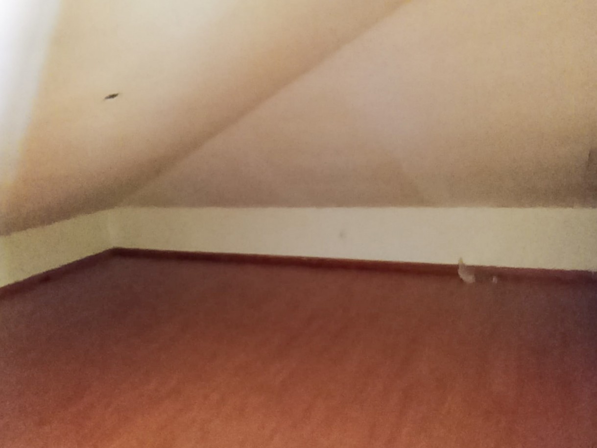 32-whatsapp-image-2026-03-30-at-10jpg