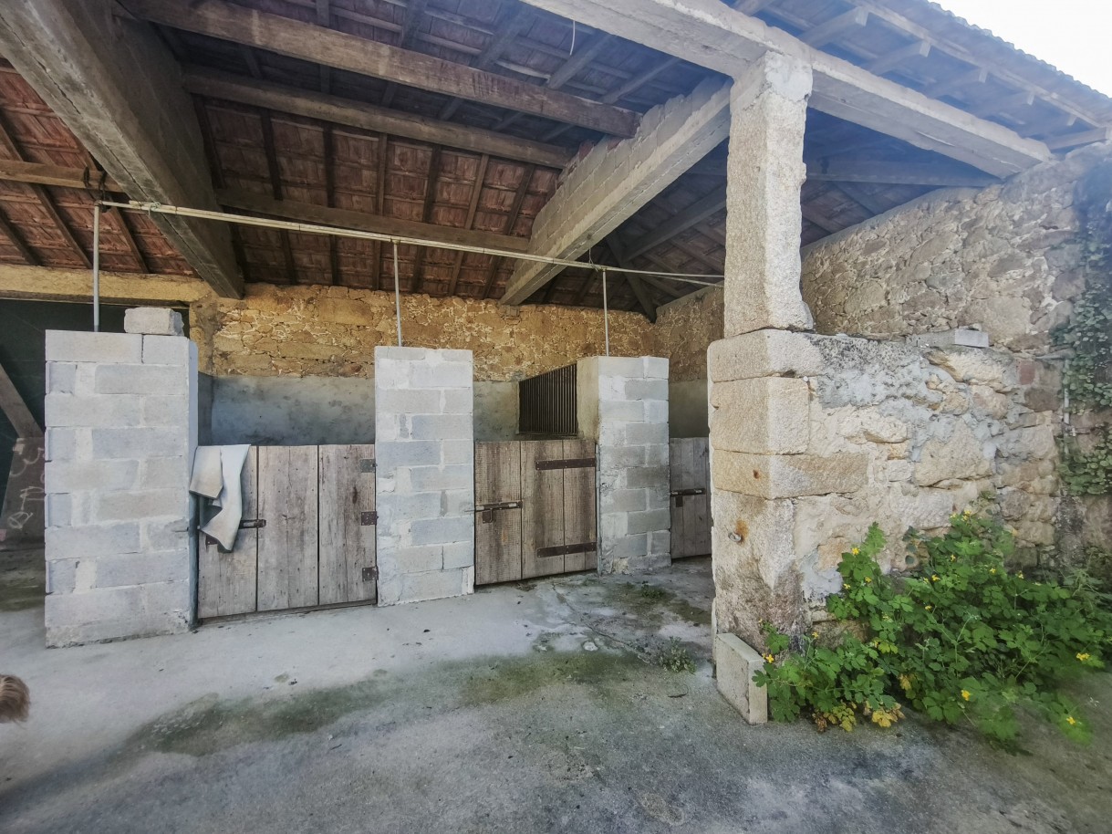 14-img-20260403-162040jpg