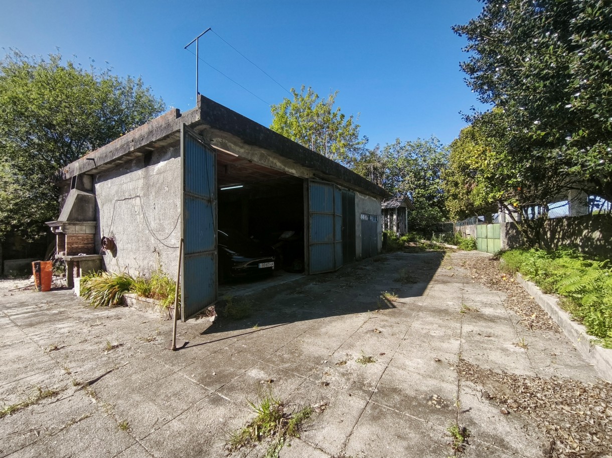 17-img-20260403-161551jpg