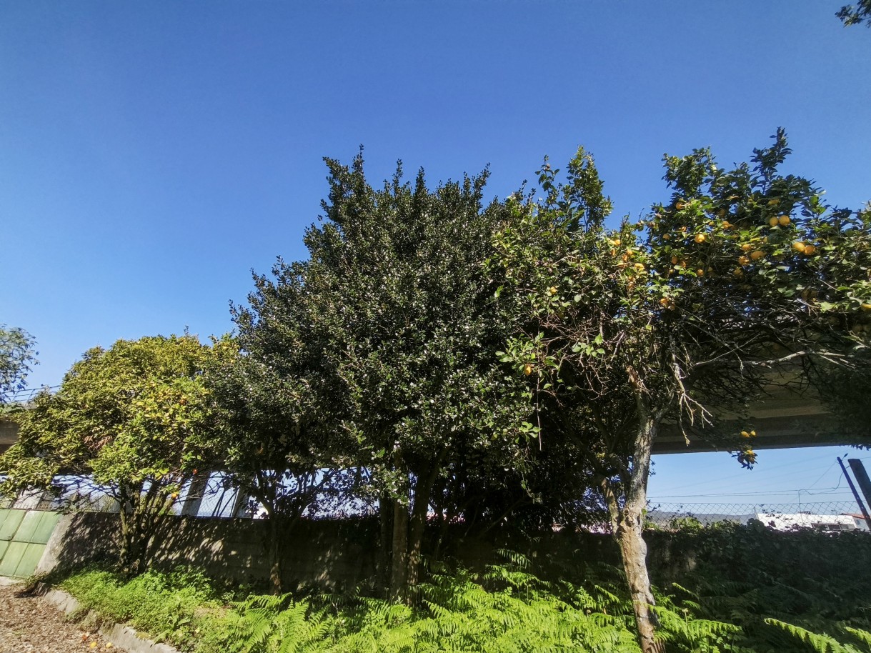 18-img-20260403-161542jpg