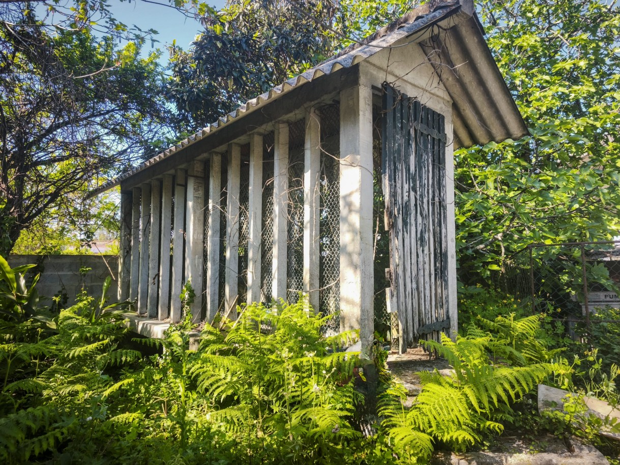 20-img-20260403-161506jpg