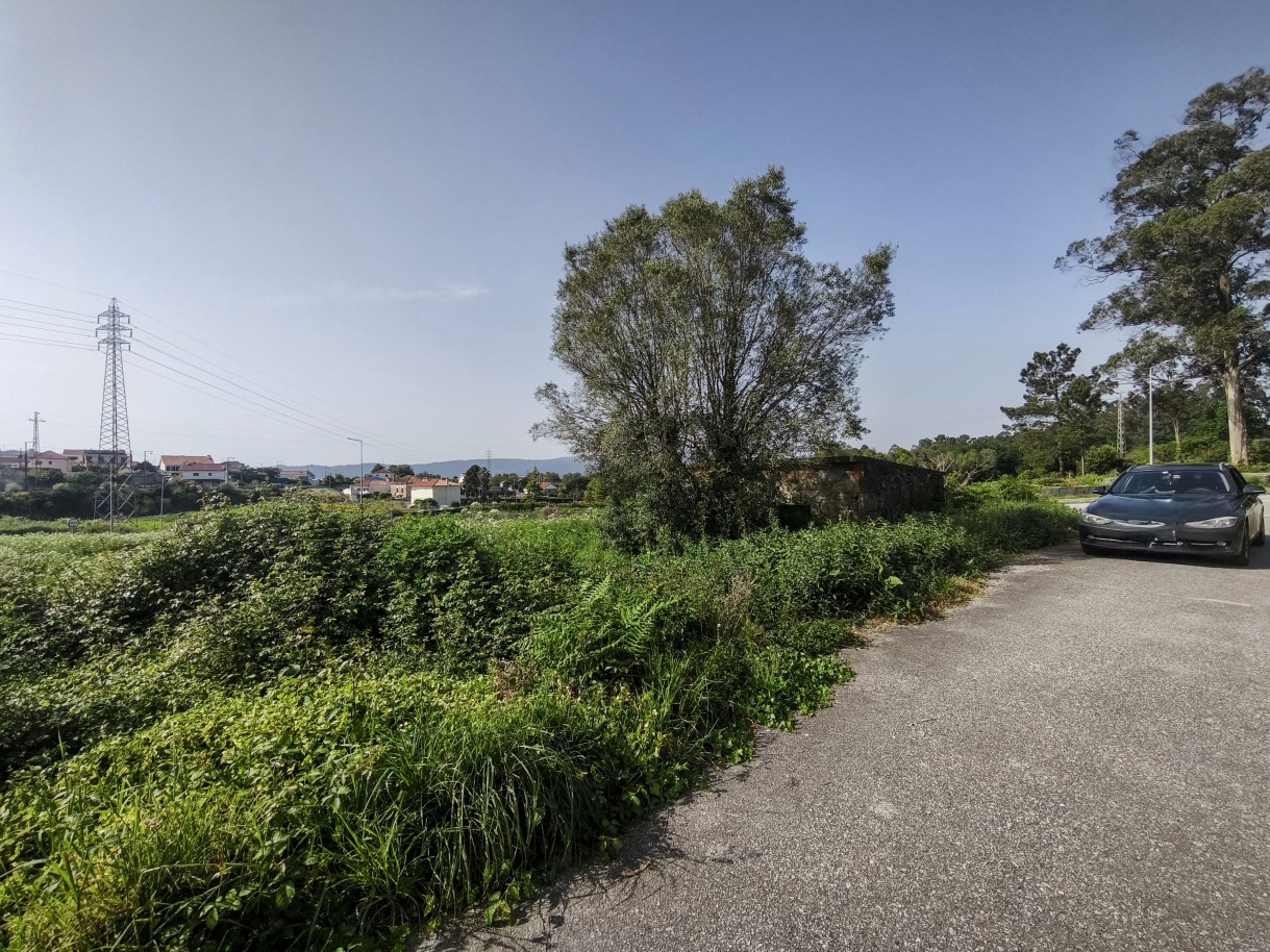 1-img-20260409-162449jpg