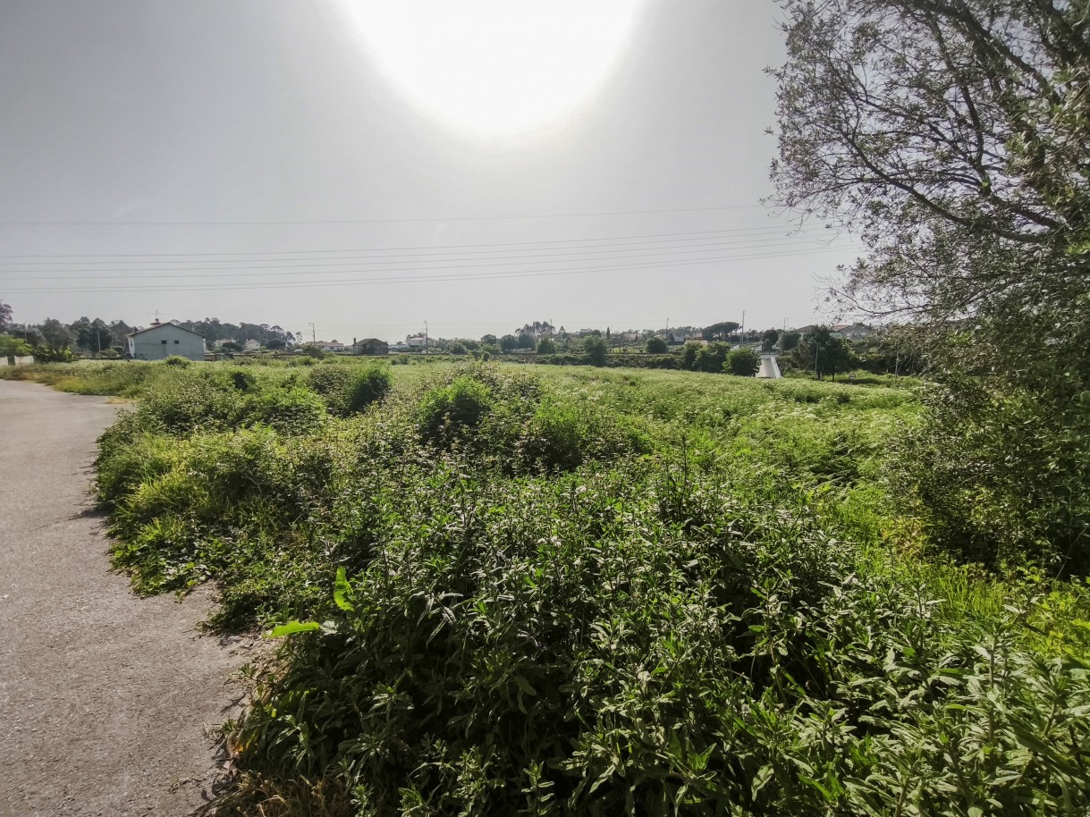 5-img-20260409-162431jpg