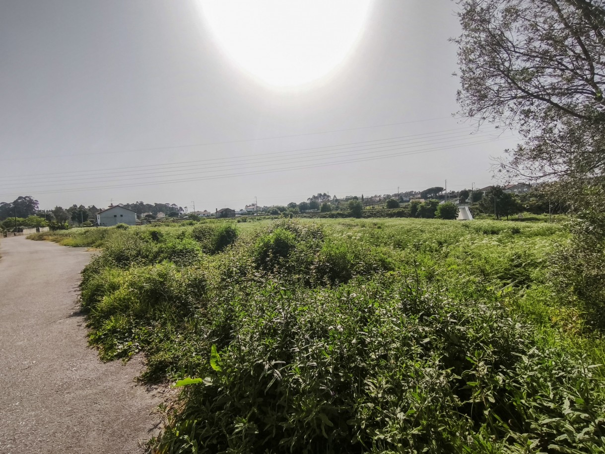 6-img-20260409-162430jpg