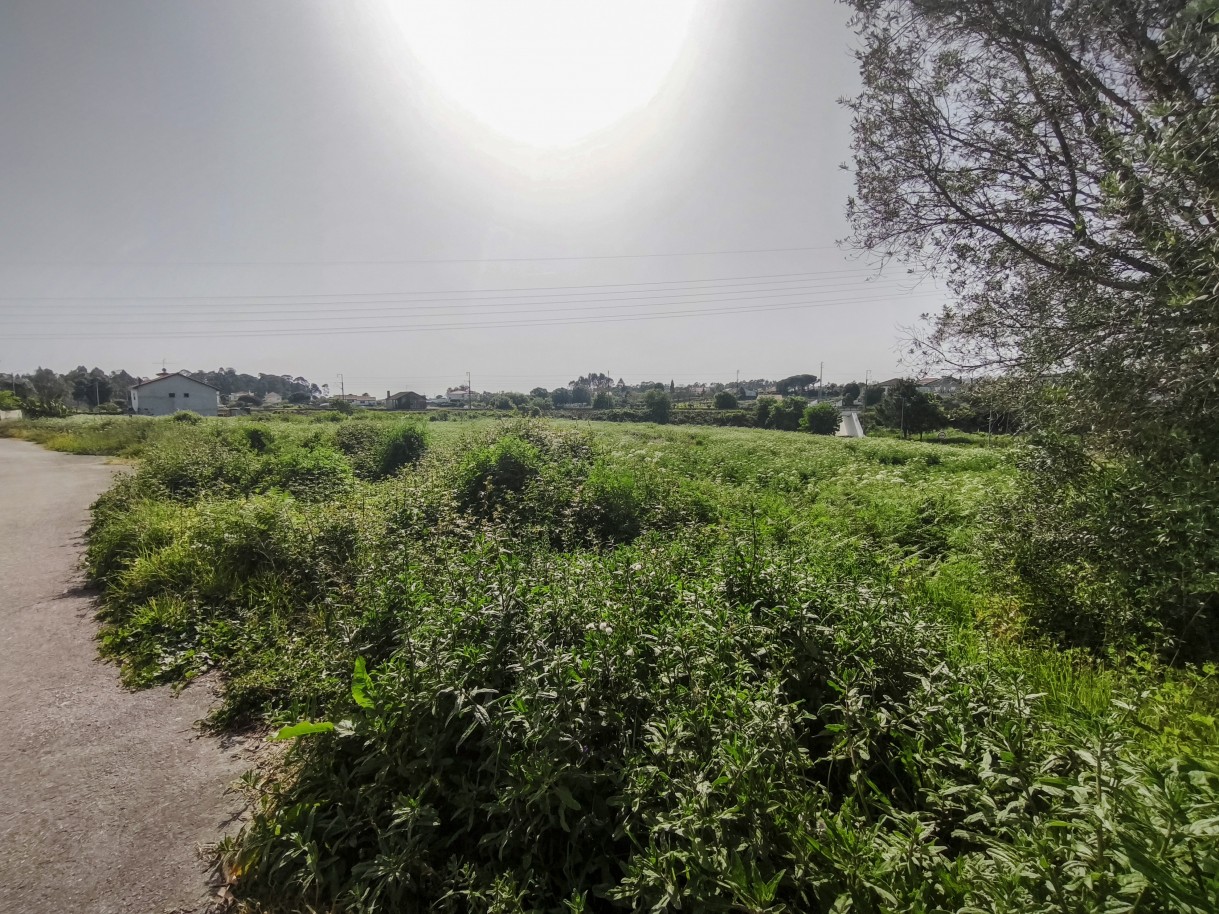 8-img-20260409-162427jpg