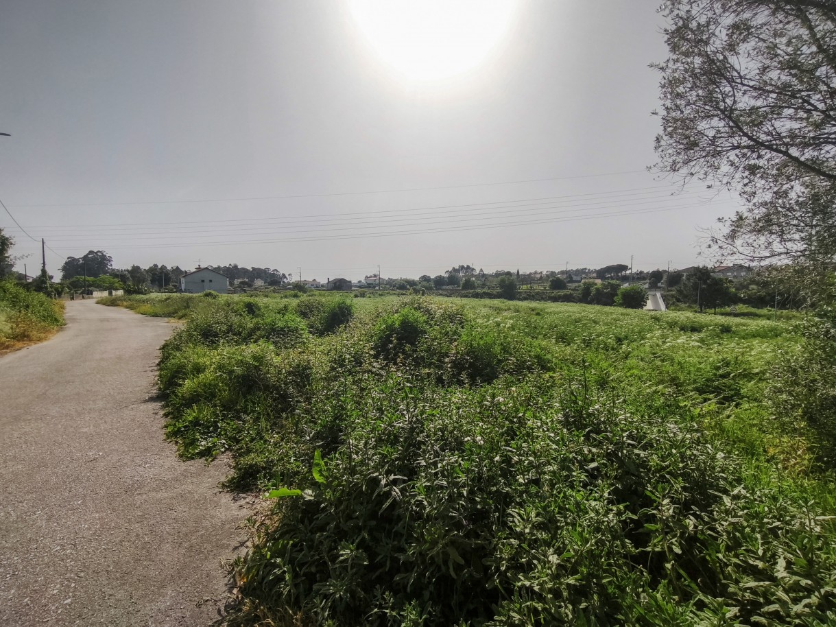 7-img-20260409-162428jpg