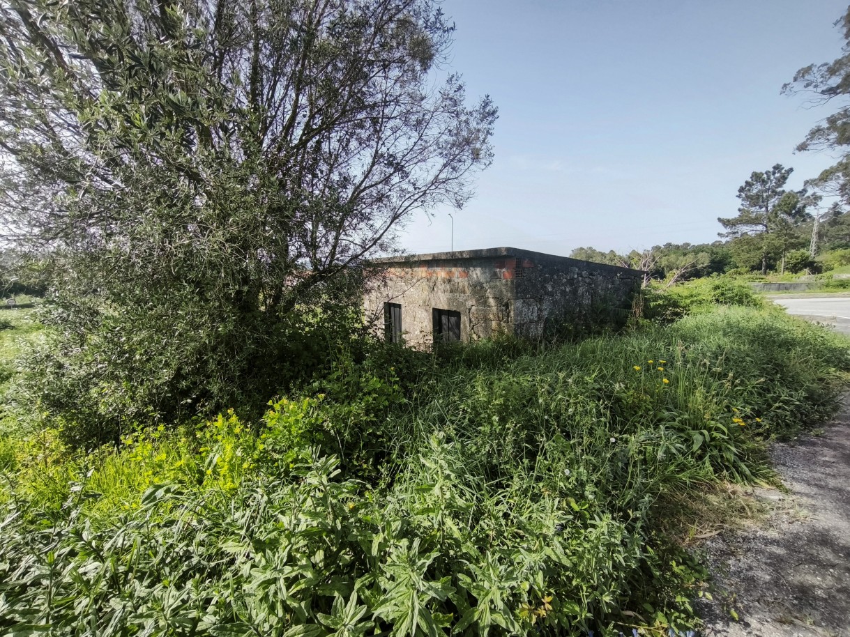 10-img-20260409-162423jpg