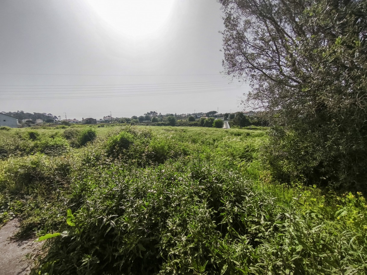 9-img-20260409-162425jpg