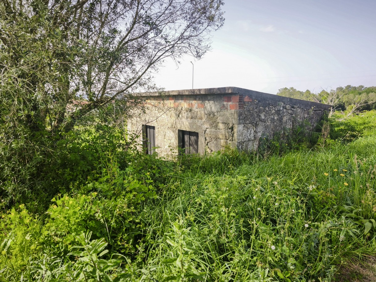 11-img-20260409-162420jpg