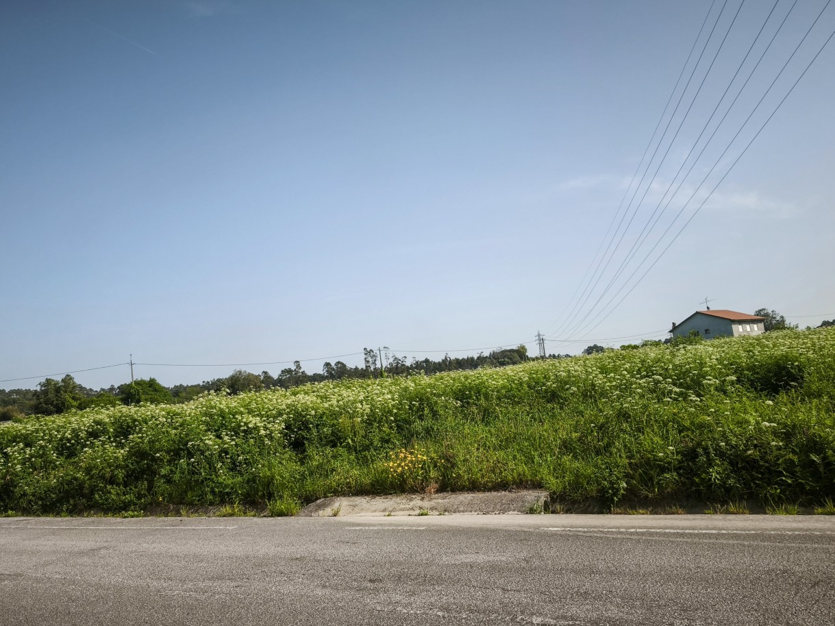 13-img-20260409-162245jpg