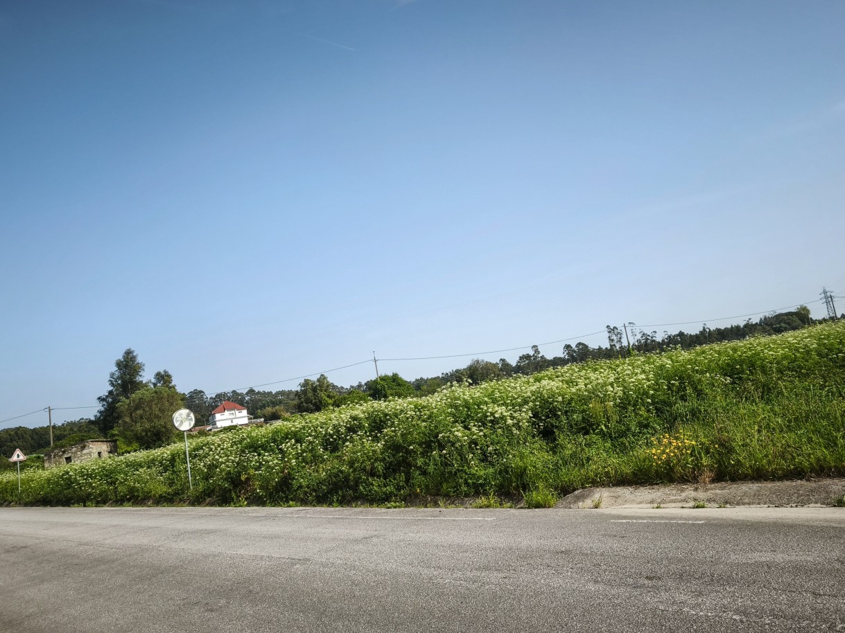 14-img-20260409-162243jpg