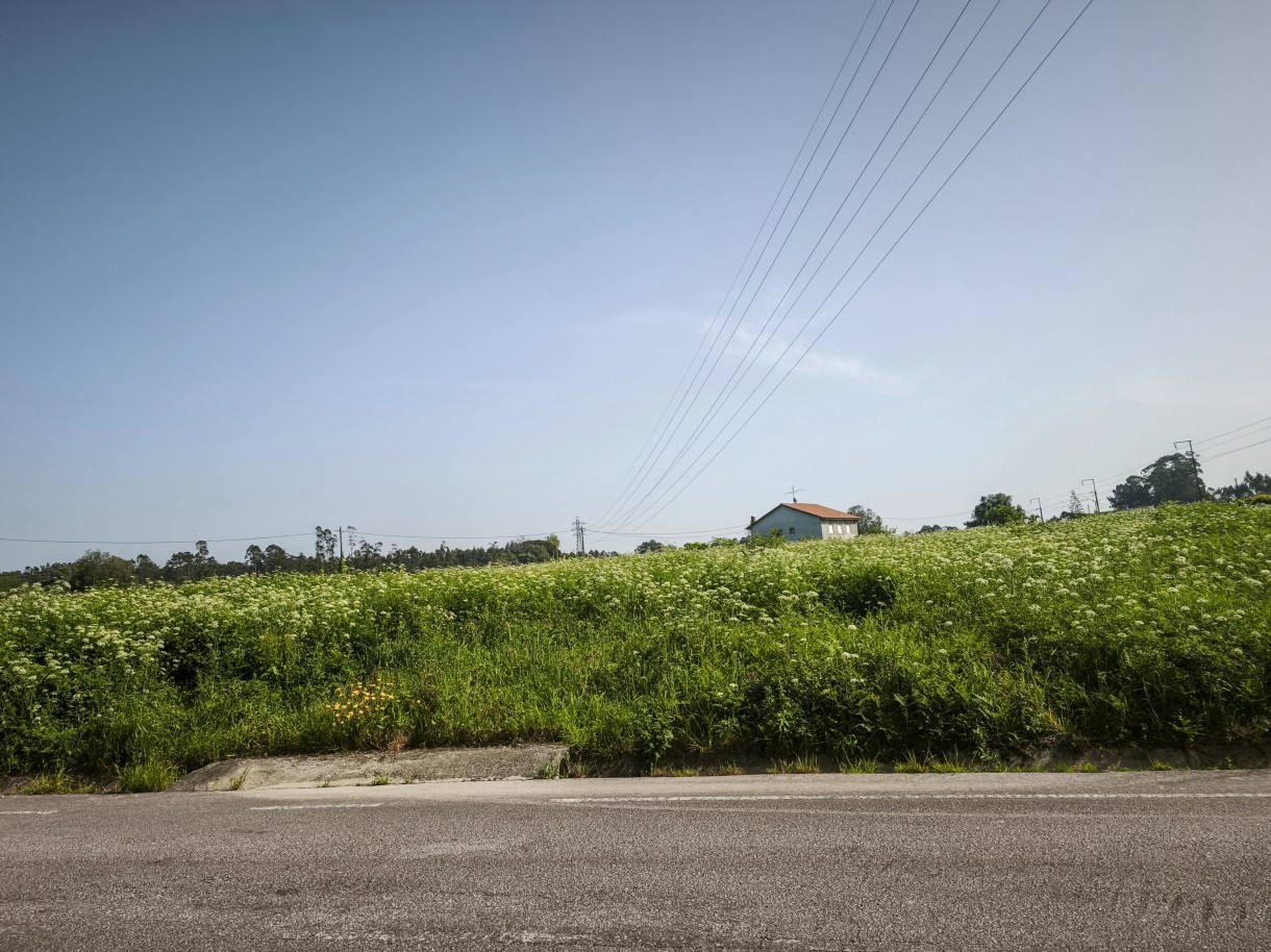 12-img-20260409-162246jpg