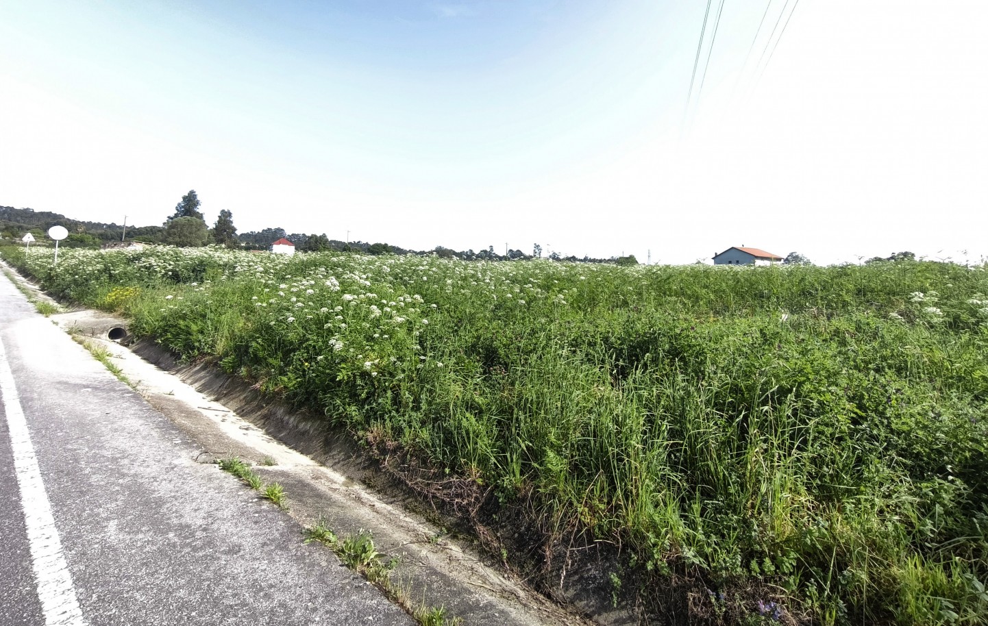 18-img-20260409-162223jpg