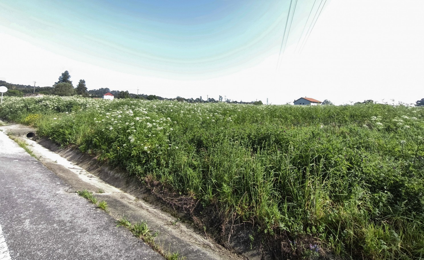 19-img-20260409-162222-1jpg